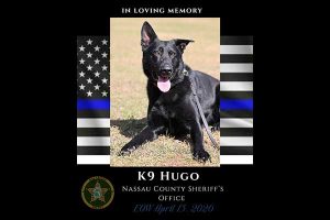 In Loving Memory of K9 Hugo